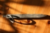 Roman Tentpeg  &raquo; Klik om in te zoomen ->